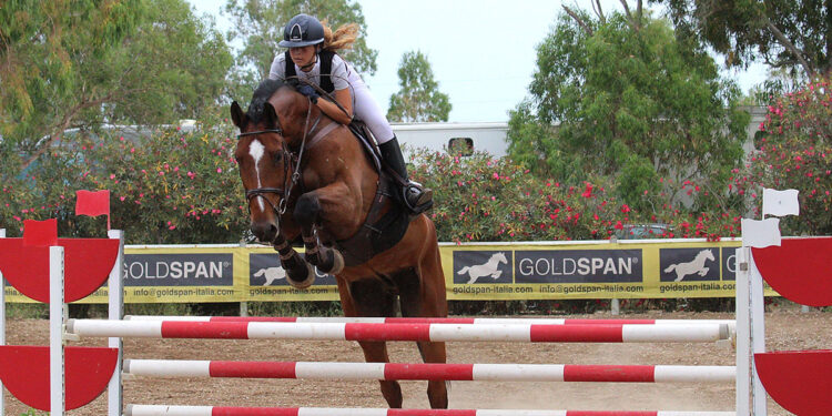 Salto ostacoli al Centro Is Alinos di Maracalagonis. ? Erdas Foto
