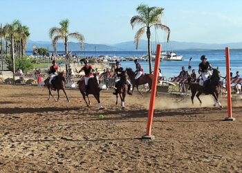 Polo Pony a Golfo Aranci
