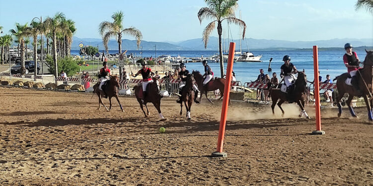 Polo Pony a Golfo Aranci