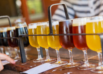 Degustazione birra. ? Depositphotos