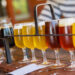 Degustazione birra. ? Depositphotos