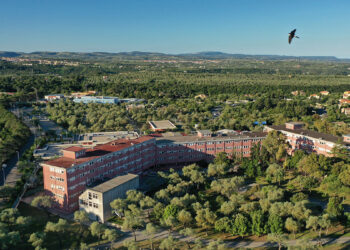 Dipartimento di Medicina Veterinaria dell’Università di Sassari. ? Antonio Varcasia