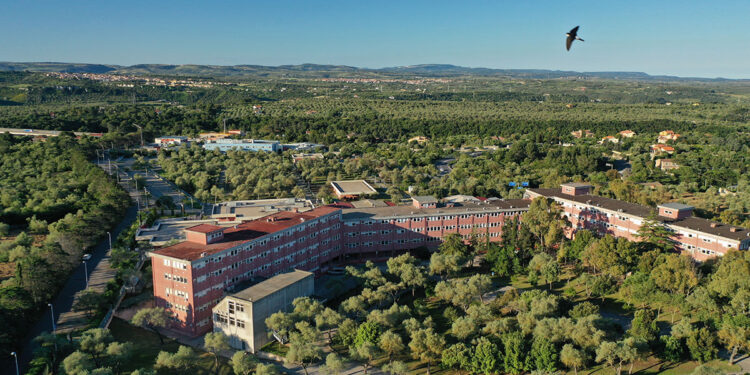 Dipartimento di Medicina Veterinaria dell’Università di Sassari. ? Antonio Varcasia