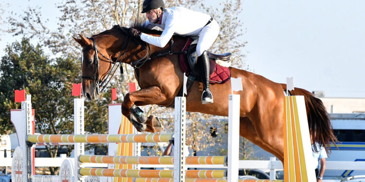 Luigi Angius su rarità. ? Corbinzolu