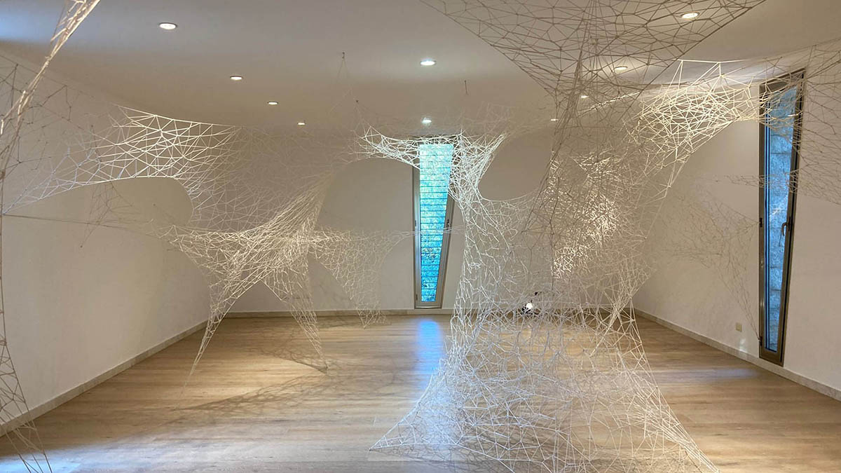 Organica - Mostra Frongia. ? Antonello Fresu ©tramedarte