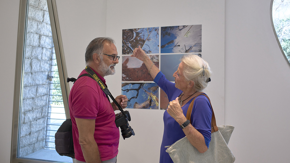 Organica - Mostra Kroke. ? Alex Kroke ©tramedarte