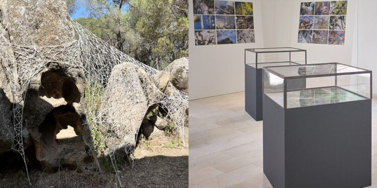 Un'installazione di Daniela Frongia (? Laura Dore) e la mostra di Annemarie Kroke (? Alex Kroke). © Tramedarte