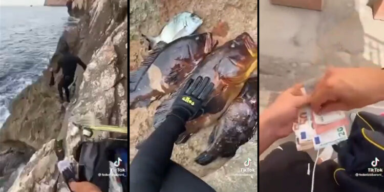 Alghero, battuta di pesca illegale all’interno dell’Area Marina Protetta