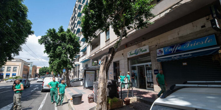 Cagliari, messa in sicurezza di un ficus in viale Trieste