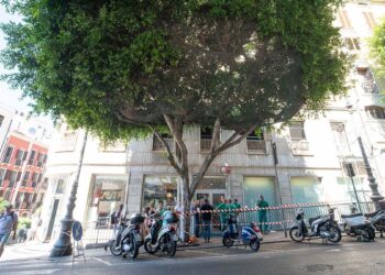 Cagliari, il Ficus di piazza Yenne angolo Corso V. Emanuele