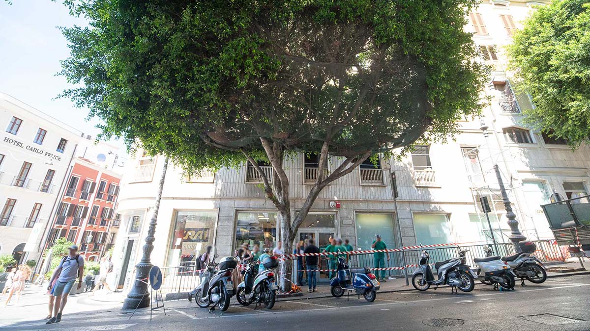 Cagliari, il Ficus di piazza Yenne angolo Corso V. Emanuele