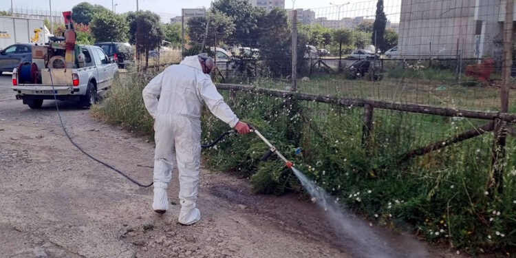 Disinfestazione blatte