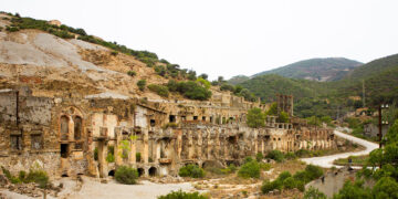 Laveria Brassey - Naracauli (Arbus). ? Depositphotos