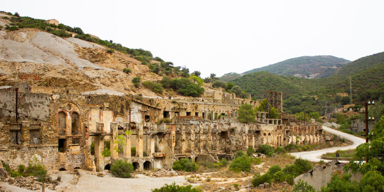 Laveria Brassey - Naracauli (Arbus). ? Depositphotos