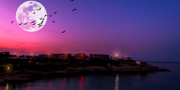 Porto Torres tramonto. 📷 Depositphotos