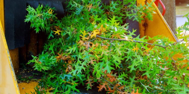 Sfalci rami. ? Depositphotos