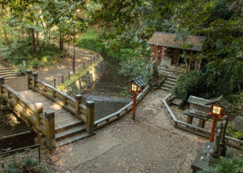 La Valle di Todoroki a Tokyo