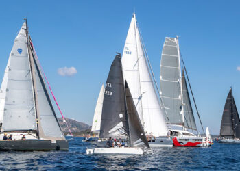 Vela Cup, barche in regata
