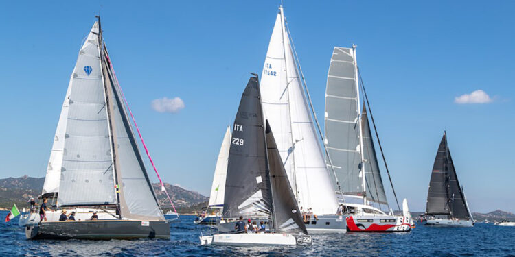 Vela Cup, barche in regata