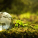 Ambiente, sostenibilità. ? Depositphotos