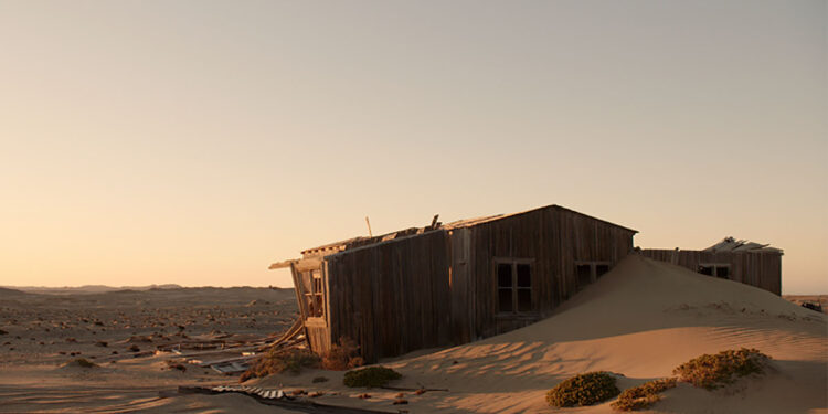 Il documentario olandese “Desert Paradise”