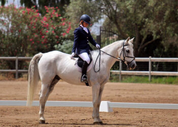 Equitazione dressage