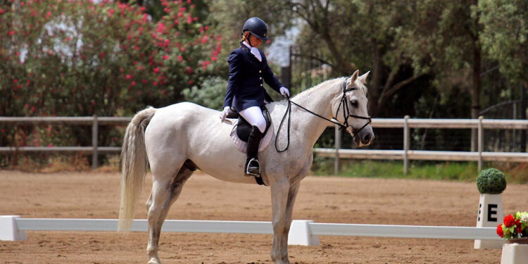 Equitazione dressage