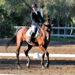 Francesca Giulia Passerini, campionessa sarda di dressage
