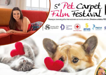 Pet Carpet Film Festival 2022