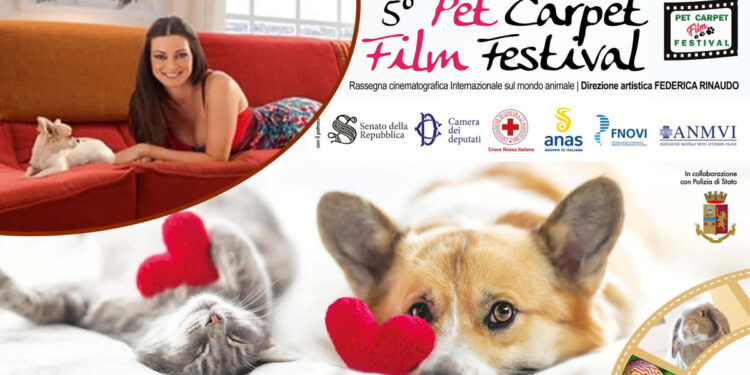 Pet Carpet Film Festival 2022