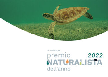 Premio Naturalista dell’anno