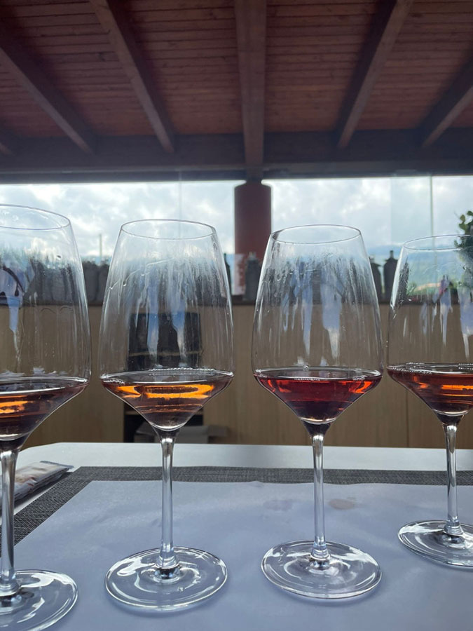 Sud Top Wine