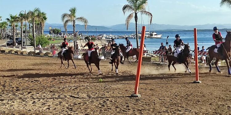 Polo Pony: una gara d'esibizione giocata davanti alla spiaggia di Golfo Aranci