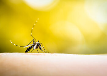 ? Depositphotos