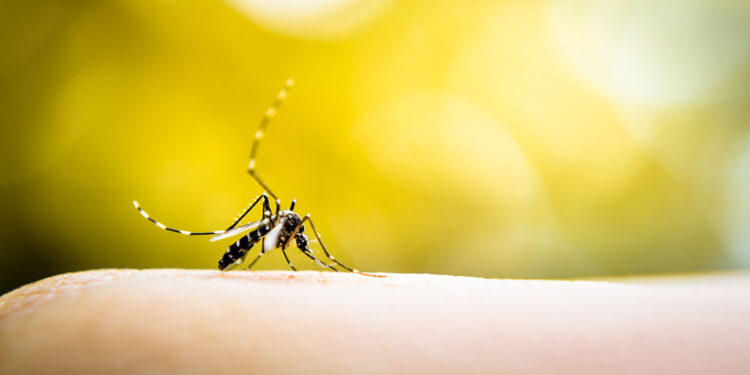 ? Depositphotos