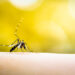 ? Depositphotos