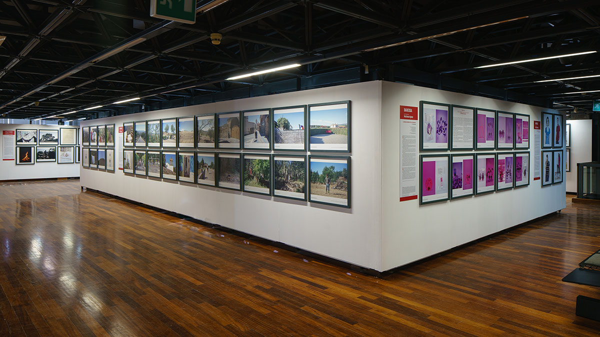 "12 reportages dalla Marmilla". ? Giorgio Marturana