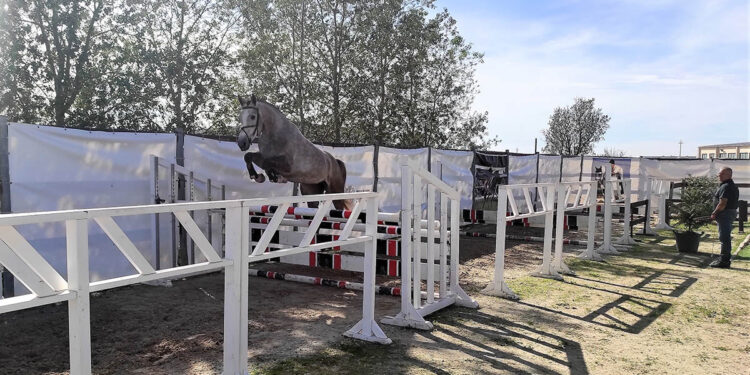 Sardegna Jumping Tour 2022