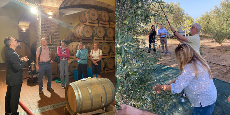 Festival Atobius 2022