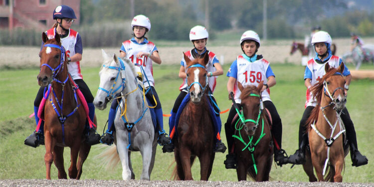 La Sardegna Under 14