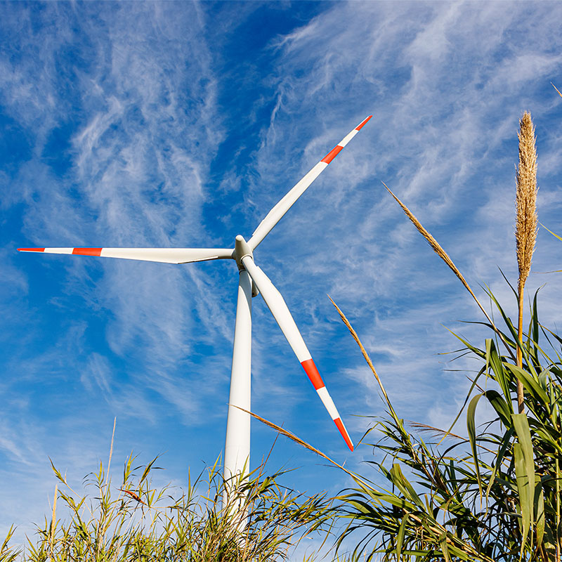 Parco eolico a Portoscuso. ? Depositphotos