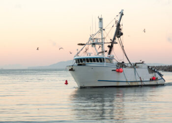 Peschereccio. ? Depositphotos