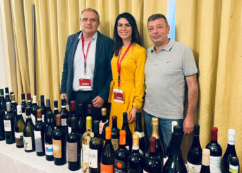 Premiazione Sud Top Wine