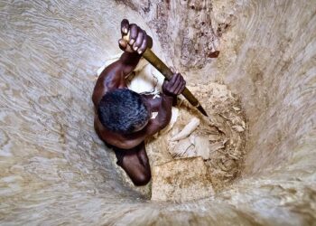 “Mamody the last baobab digger” di Cyrille Cornu