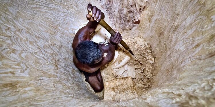 “Mamody the last baobab digger” di Cyrille Cornu