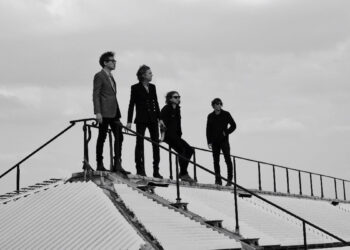 I Phoenix sul tetto del Musée des Arts Décoratifs, Parigi. ? Shervin Lainez