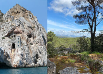 Porto Flavia, Iglesias (SU) ? Davide Maffei. Bosco di Curadureddu, Tempio Pausania (SS)