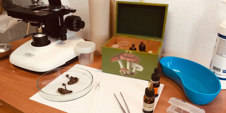 Strumenti Ispettorato Micologico di Olbia e di Tempio