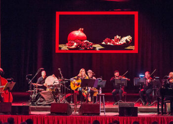 "Voci di Donna" 2022, il concerto di Grazia Di Michele