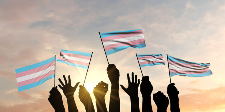 Bandiera transgender. ? Depositphotos